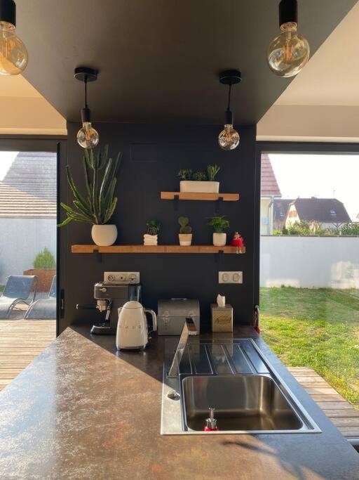 Maison D'Architecte Situee Sur La Route Des Vins Châtenois Buitenkant foto
